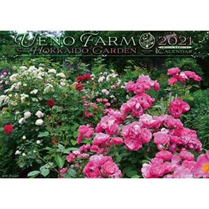 オダマキ 種 花瓶 花台 の商品一覧 花 ガーデニング 通販 Yahoo ショッピング