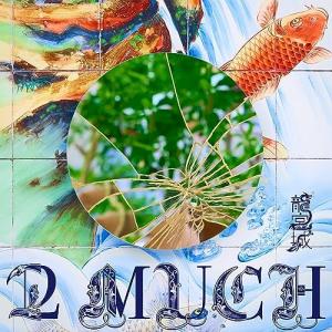 龍宮城 SHIBAI (Deluxe)＜通常盤＞ CD : タワーレコード Yahoo!店