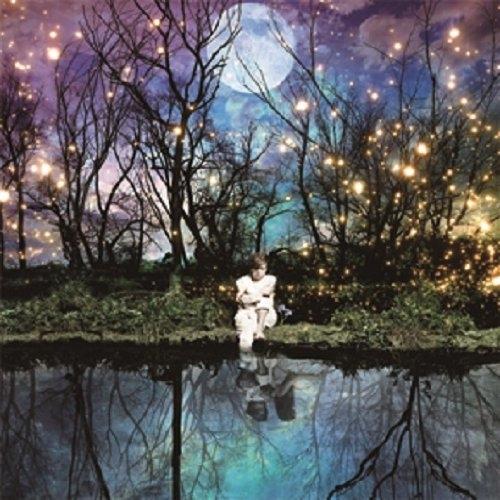 CD/Acid Black Cherry/君がいない、あの日から… (CD+DVD) (初回生産限定...