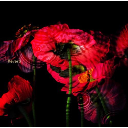 CD/黒夢/Reverb (通常盤)