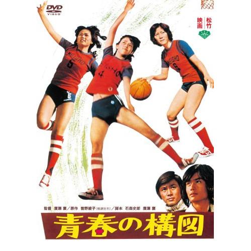 DVD/岡田奈々/青春の構図