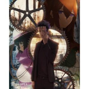 シュタインズゲート DVD 全巻セット テレビアニメ 全25話 715分収録