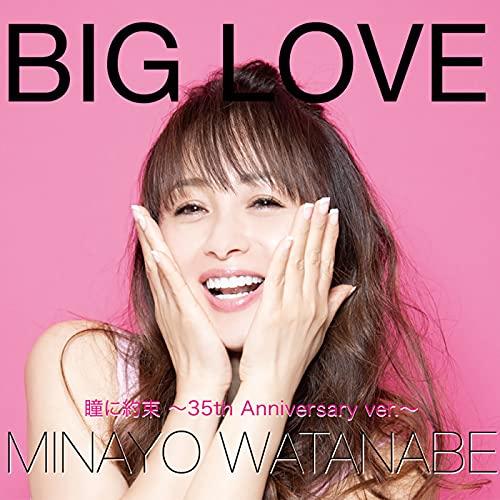 【取寄商品】CD/渡辺美奈代/BIG LOVE【Pアップ】
