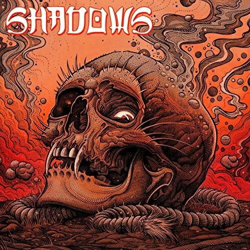 【取寄商品】CD/SHADOWS/illuminate (CD+DVD)