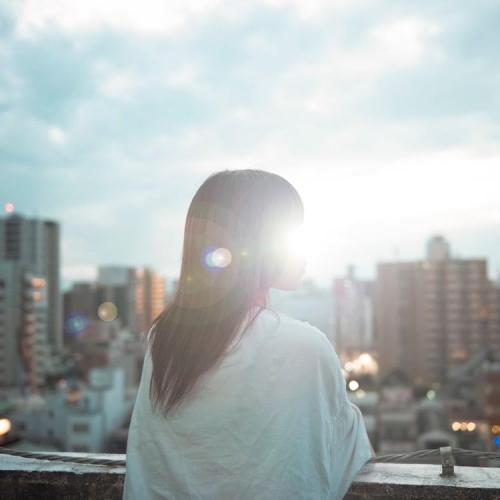 【取寄商品】CD/至福ぽんちょ/与えられた場所で咲く