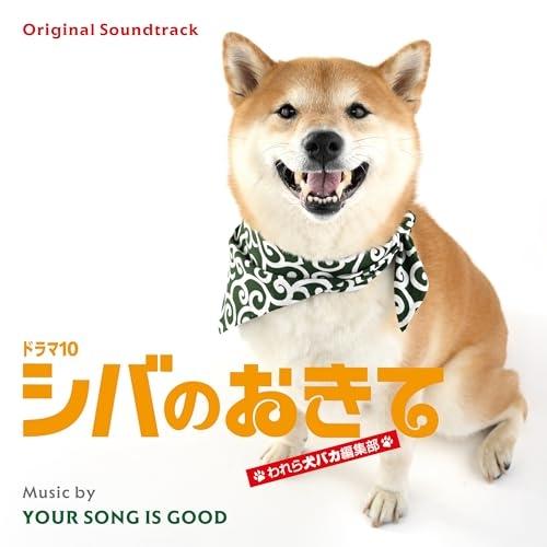 CD/YOUR SONG IS GOOD/オリジナル・サウンドトラック ドラマ10 シバのおきて わ...