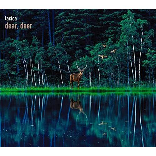 CD/tacica/BEST ALBUM dear, deer (CD+DVD) (初回生産限定盤B...