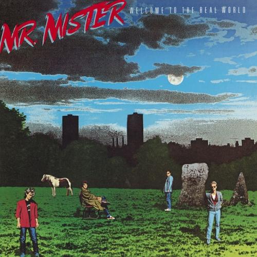 CD/Mr.ミスター/ウェルカム・トゥ・ザ・リアル・ワールド (解説付) (期間生産限定盤)
