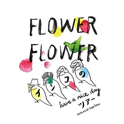 BD/FLOWER FLOWER/インコの have a nice day ツアー 2018.05....
