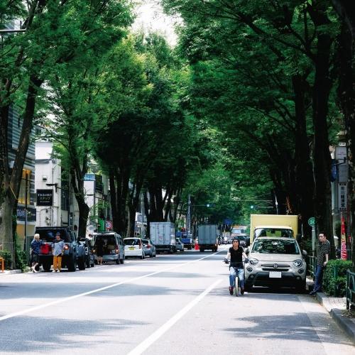 CD/ストレイテナー/The Ordinary Road (CD+Blu-ray) (初回限定盤B)