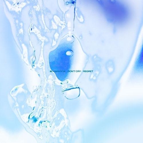 CD/ExWHYZ/DON'T CRY/リグレット (CD+DVD) (DVD盤)【Pアップ