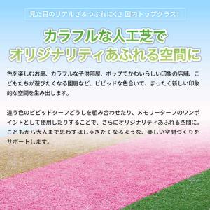 ユニオンビズ ビビッドターフ 巾1mx長さ10...の詳細画像1