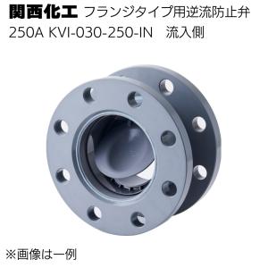 関西化工 フランジタイプ用逆流防止弁 250A(...の商品画像