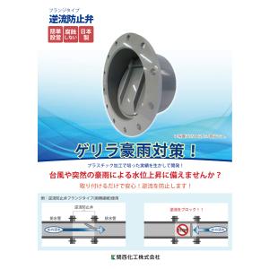 関西化工 フランジタイプ用逆流防止弁 250A...の詳細画像3