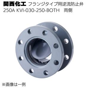 関西化工 フランジタイプ用逆流防止弁 250A(...の商品画像