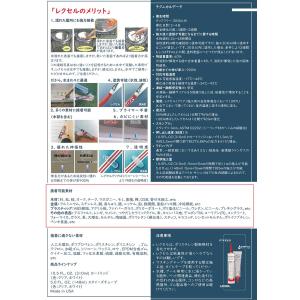 サシュコ レクセル クリア 310ml×1本/...の詳細画像2