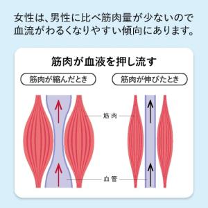 脚の むくみ 手の冷え を軽減 ヒハツ サプリ...の詳細画像5