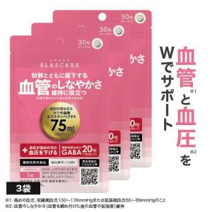 3袋セット 】 尿酸と脂肪のダブルバスター Wバスター 36g ( 400mg × 90
