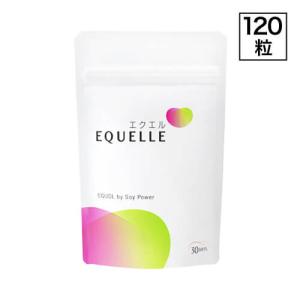 エクエル パウチ 120粒 大塚製薬 エクオール : エクセレント