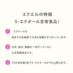 エクエル パウチ 120粒入 大塚製薬の詳細画像5