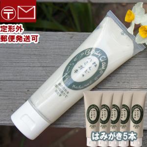 ボディクレイ ねんどのはみがき 100ｇ×5本 モンモリロナイト 歯磨き 粘土 ハミガキ bodycray