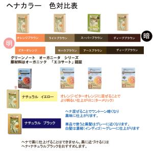 グリーンノート ヘナ ハーバルカラー ライトブ...の詳細画像1