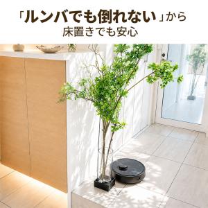 倒れず飾れる枝ものスタンド|standard|...の詳細画像5