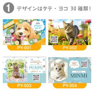【LINEで簡単♪】ペット 名刺 うちの子名刺...の詳細画像3