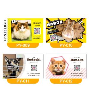 【LINEで簡単♪】ペット 名刺 うちの子名刺...の詳細画像5