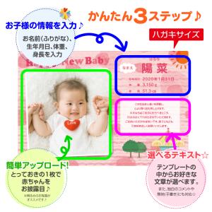 内祝い ハガキ 出産 写真入り 命名紙 命名書...の詳細画像2