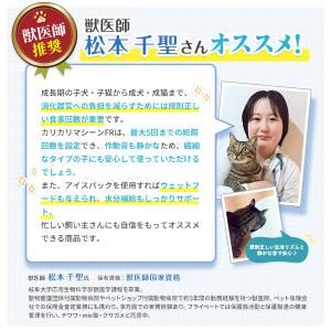 自動給餌器 自動 餌やり器 ウェットフード 猫...の詳細画像2