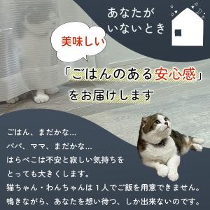 自動給餌器 カリカリマシーンV2 猫 犬 タイ...の詳細画像3