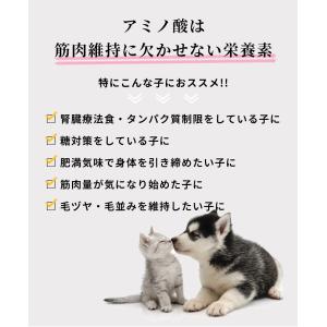 犬 猫 ペット サプリメント アミノファイン ...の詳細画像2