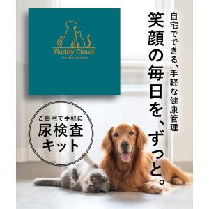 犬 猫 ペット 尿検査キット(2回分/箱) い...の詳細画像1