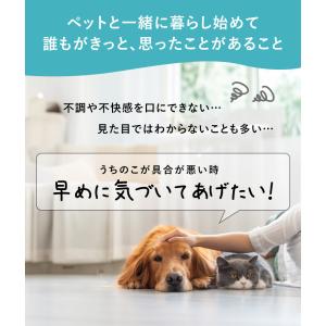 犬 猫 ペット 尿検査キット(2回分/箱) い...の詳細画像2