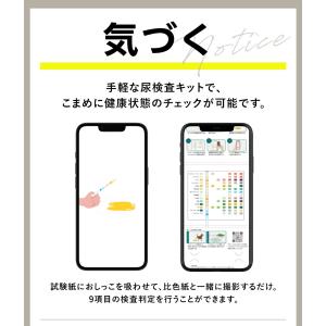 犬 猫 ペット 尿検査キット(2回分/箱) い...の詳細画像5