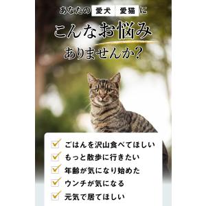 猫 サプリ ネコ サプリメント 猫用 ペット ...の詳細画像1