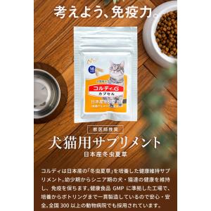 猫 サプリ ネコ サプリメント 猫用 ペット ...の詳細画像3