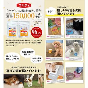 猫 サプリ ネコ サプリメント 猫用 ペット ...の詳細画像5