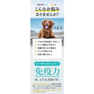 犬 猫 うさぎ ペット サプリ コルディEX ...の詳細画像1