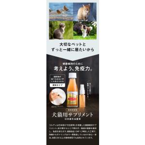 犬 猫 うさぎ ペット サプリ コルディEX ...の詳細画像2