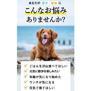 犬 猫 ペット サプリ 犬用サプリメント 猫用...の詳細画像2