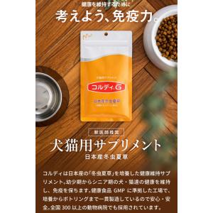 犬用 猫用 ペット サプリメント コルディG1...の詳細画像4