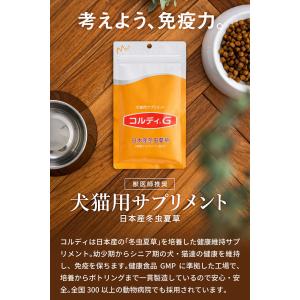 犬用 猫用 ペット サプリメント コルディG ...の詳細画像4