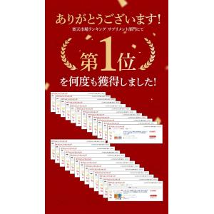 犬用 猫用 ペット サプリメント コルディG ...の詳細画像5
