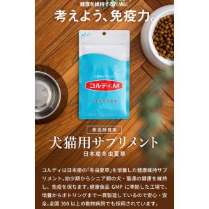 犬 猫 ペット サプリ 犬用サプリメント 猫用...の詳細画像4