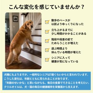 犬 関節 サプリ クリルオイル 30粒 オメガ...の詳細画像1