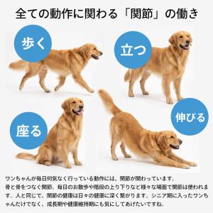 犬 関節 サプリ クリルオイル 30粒 オメガ...の詳細画像2