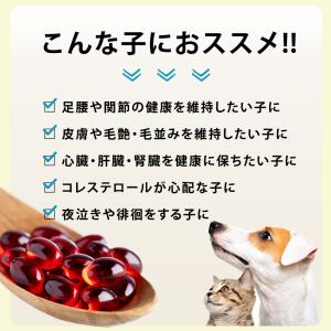 犬用 猫用 サプリメント 関節 腎臓 膝 目 ...の詳細画像4