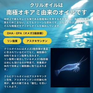 犬 関節 サプリ クリルオイル 30粒 オメガ...の詳細画像4